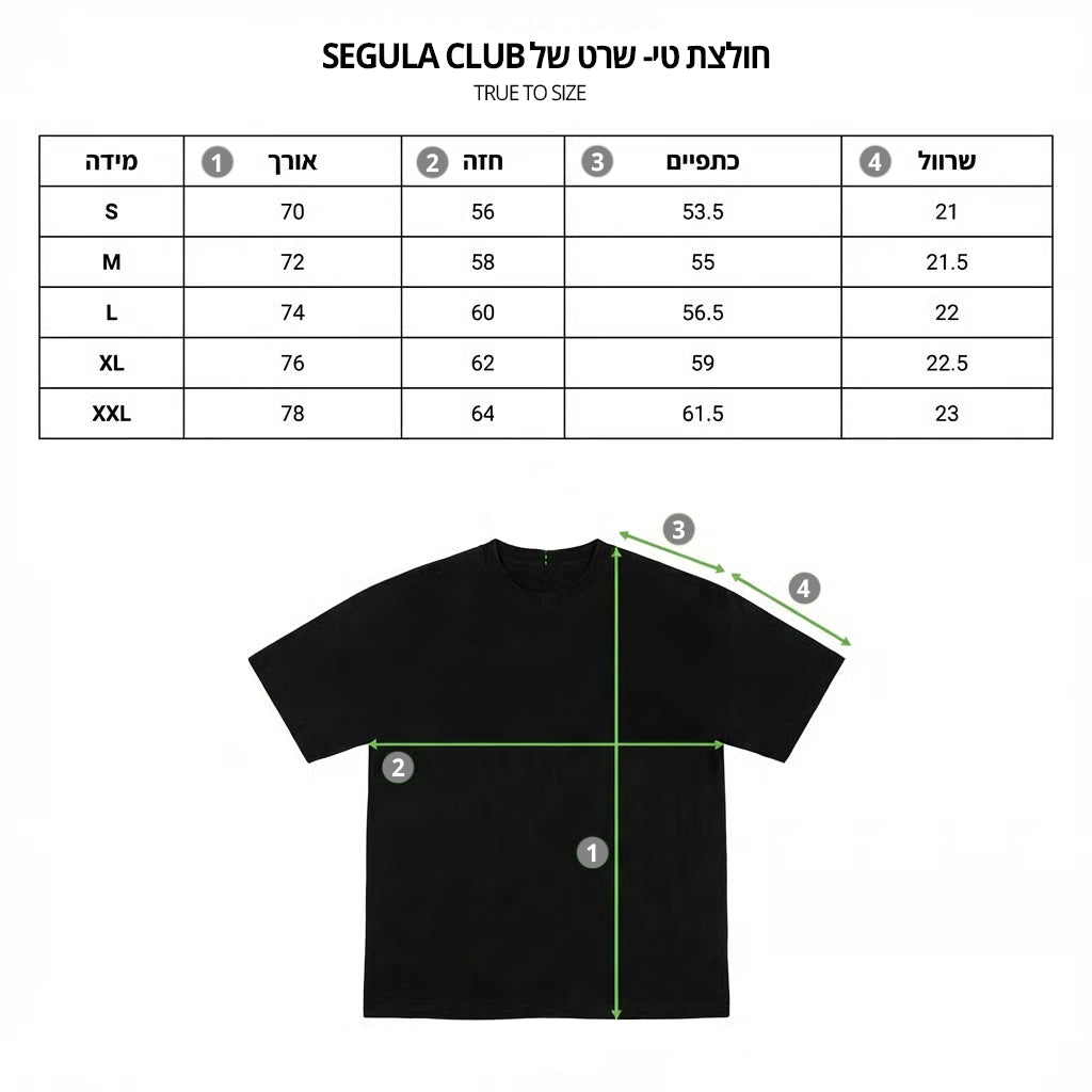 טבלת מידות SEGULA